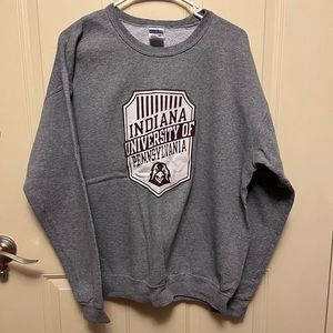 Women's large PA college sweatshirt/IUP
